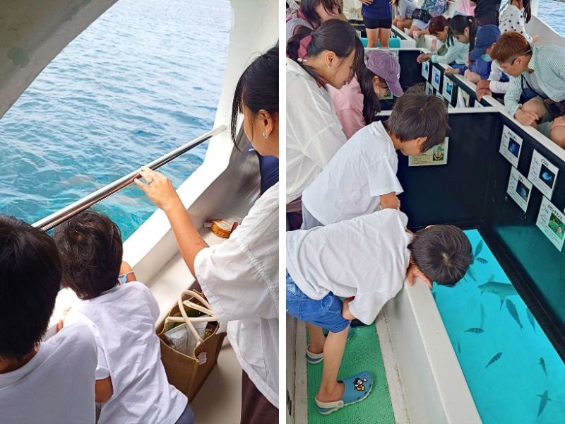 沖繩部瀨名海中公園鯨魚玻璃底船