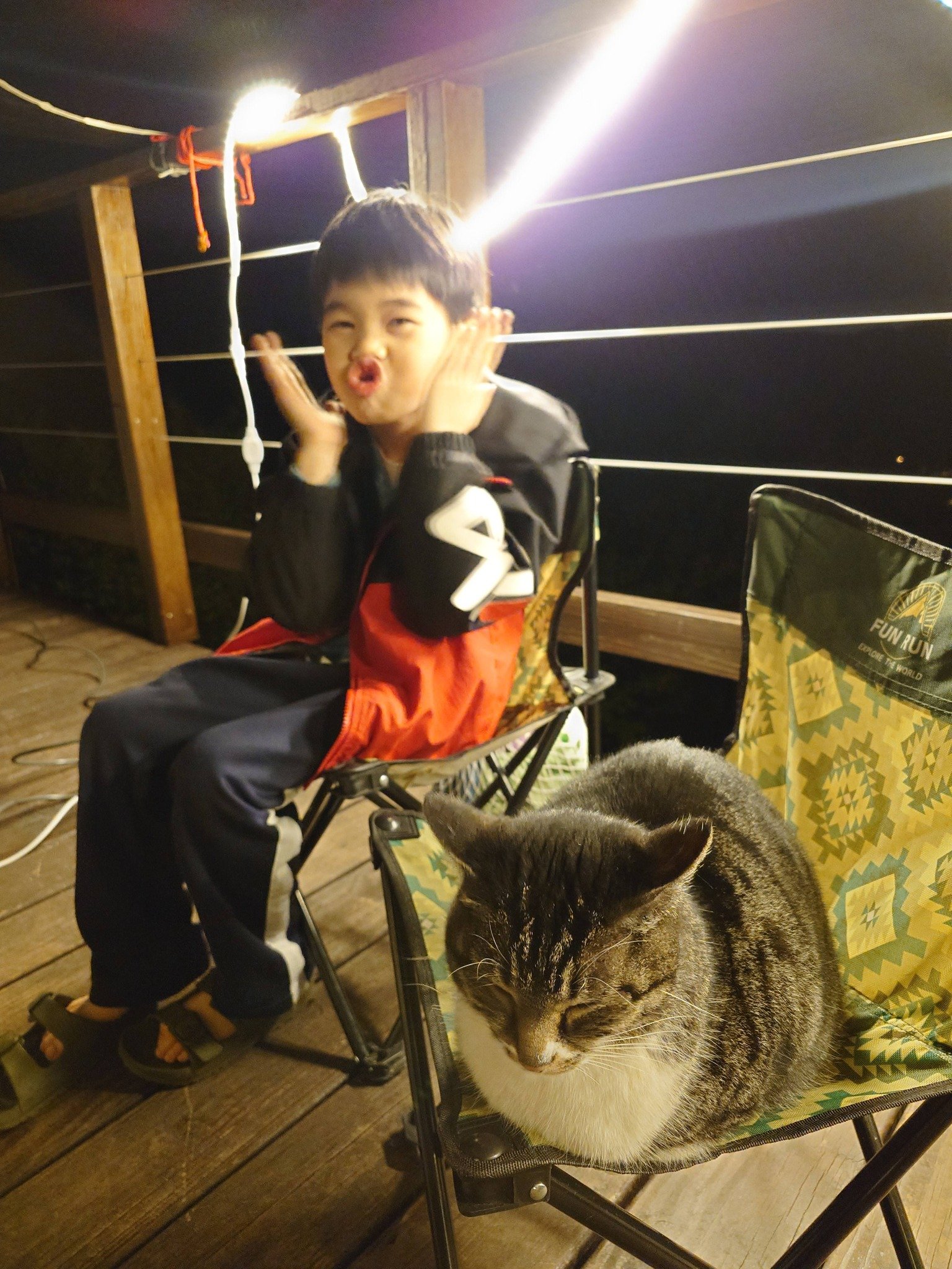 649270993 27141816102075456 6055497147903966248 n