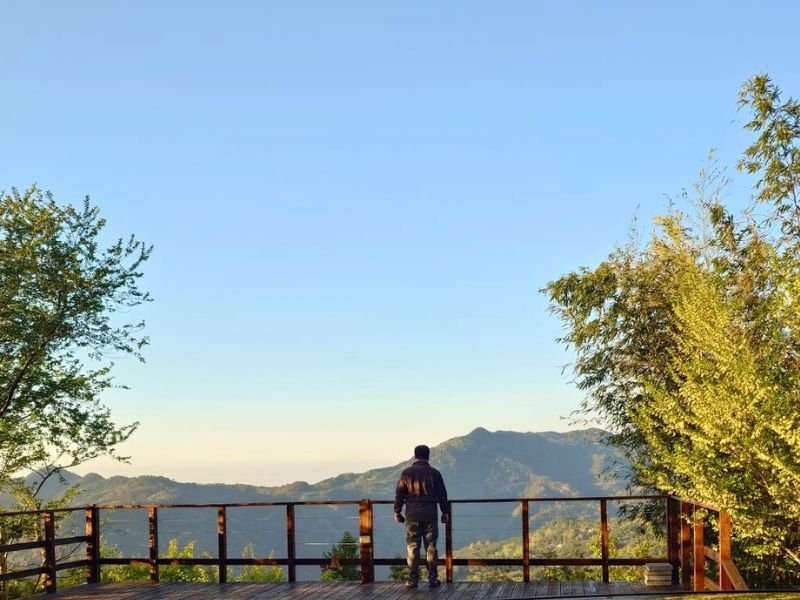 6號花園o3營位景色