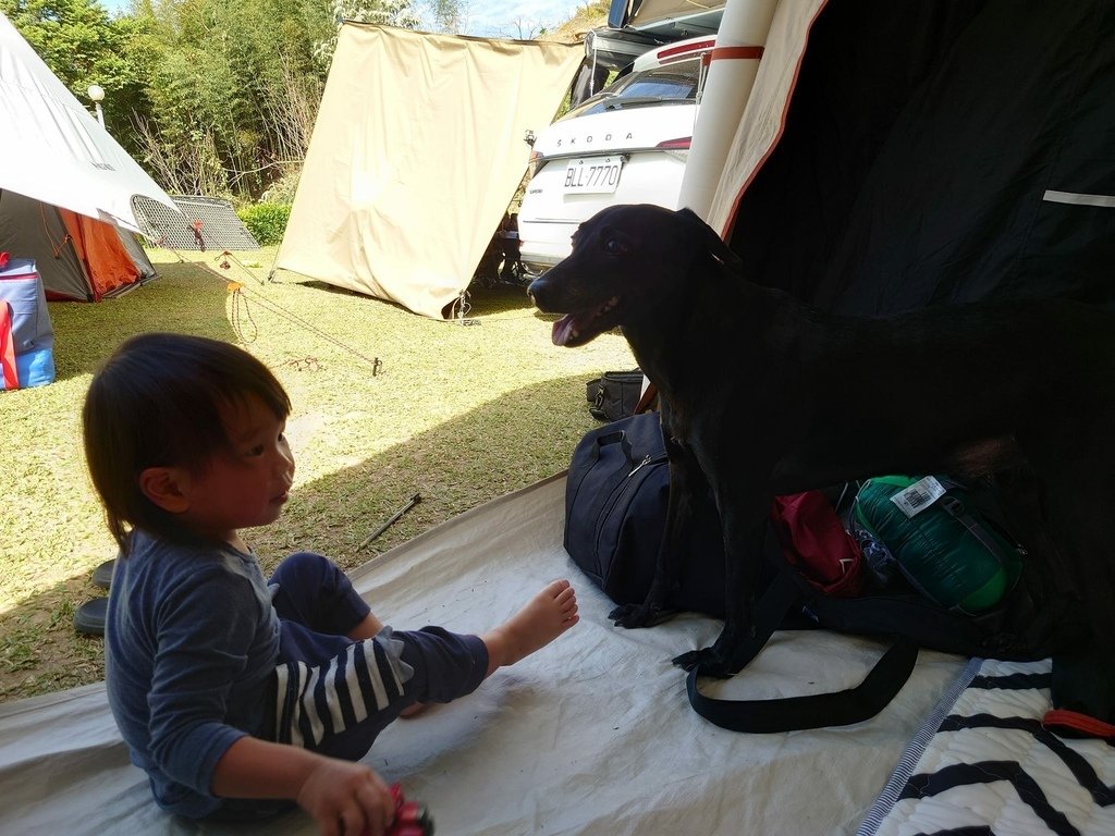 pic pimg tw pimama 1672741835 2720840717 g l jpg