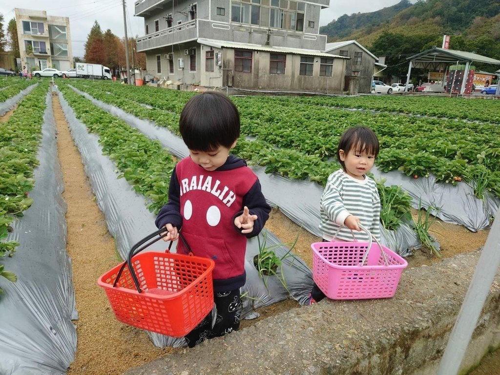 pic pimg tw pimama 1672741989 1813797013 g l jpg