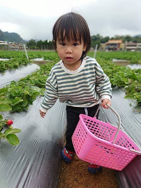 pic pimg tw pimama 1672742003 3903642031 g n jpg