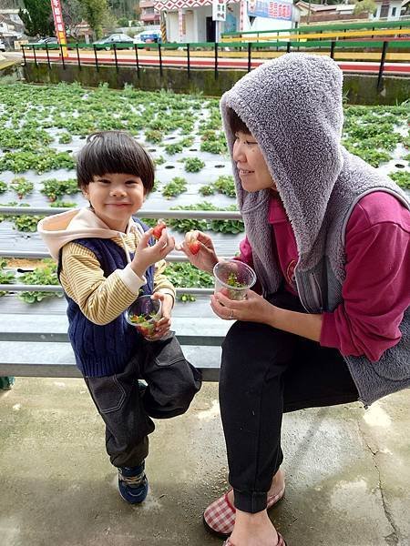 pic pimg tw pimama 1717660592 1973322774 g n jpg