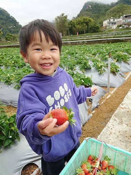 pic pimg tw pimama 1717660592 2237338542 g n jpg