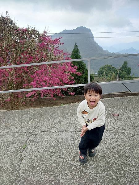 pic pimg tw pimama 1717660592 3234127963 g n jpg