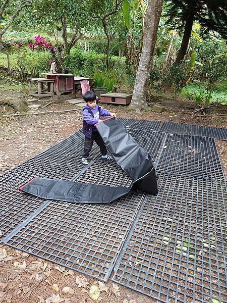 pic pimg tw pimama 1717663488 3280761904 g n jpg