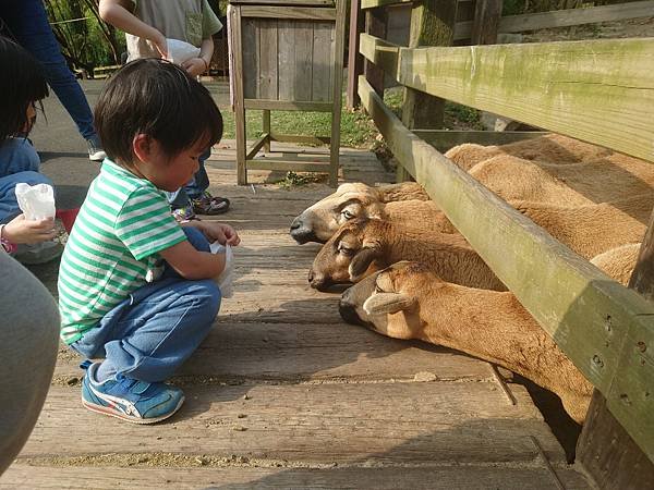 夏天蟲變好多!陽台面公園景好美,但蟲蟲危機也不少…驅蟲噴霧體驗「鮮之路-蟲搬家」 8 pic pimg tw pimama 1719302997 959862371 g n jpg
