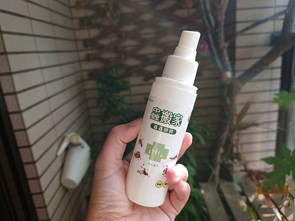 pic pimg tw pimama 1719303056 2474312368 g n jpg