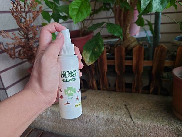 pic pimg tw pimama 1719303056 2691560898 g n jpg