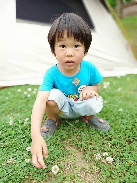 雙梅家第6露桃園復興可飛鹿營區|草皮很棒~小孩跑跑跳跳空間絕對夠,衛浴設備乾淨寬敞 9 pic pimg tw pimama 1719311667 898498160 g n jpg