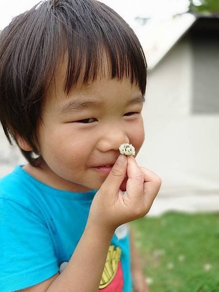 雙梅家第6露桃園復興可飛鹿營區|草皮很棒~小孩跑跑跳跳空間絕對夠,衛浴設備乾淨寬敞 10 pic pimg tw pimama 1719311669 2937761245 g n jpg