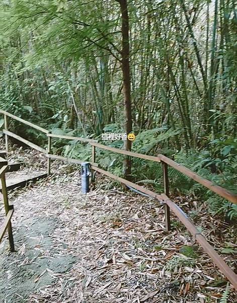 雙梅家第6露桃園復興可飛鹿營區|草皮很棒~小孩跑跑跳跳空間絕對夠,衛浴設備乾淨寬敞 3 pic pimg tw pimama 1720513562 3170582301 g n jpg