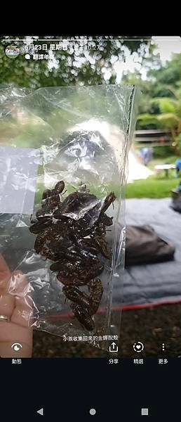 夏天露營就是要驅蟲!尊重愛護大自然,安全無毒友善鮮之路蟲搬家/臭別來雙梅家第7露根本來到蝴蝶谷(附上夏季露營必備好物/鮮之路產品折扣碼)5 7 pic pimg tw pimama 1720516452 1065545716 g n jpg