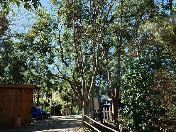 pic pimg tw pimama 1739525350 2172307019 g n jpg