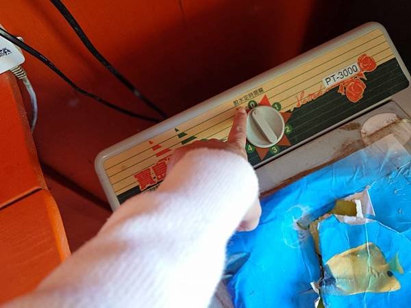 pic pimg tw pimama 1739525352 2176272418 g n jpg