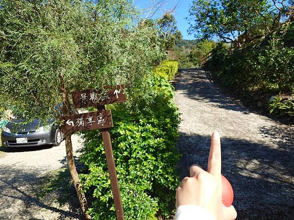 pic pimg tw pimama 1740024757 3253879931 g n jpg