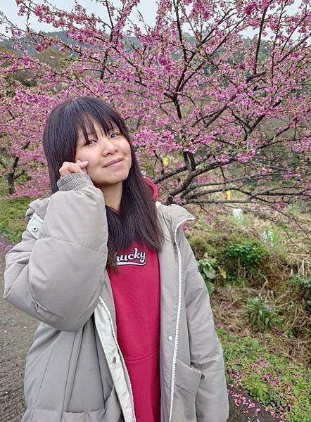 雙梅家第10露|苗栗有bear來,雲海、櫻花好享受|小孩一直吵去看鸚鵡,營本部很好買|苗栗泰安親子露營 9 pic pimg tw pimama 1740037567 2207322346 g n jpg