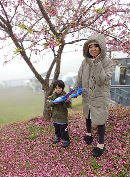 雙梅家第10露|苗栗有bear來,雲海、櫻花好享受|小孩一直吵去看鸚鵡,營本部很好買|苗栗泰安親子露營 8 pic pimg tw pimama 1740037569 1113868253 g n jpg