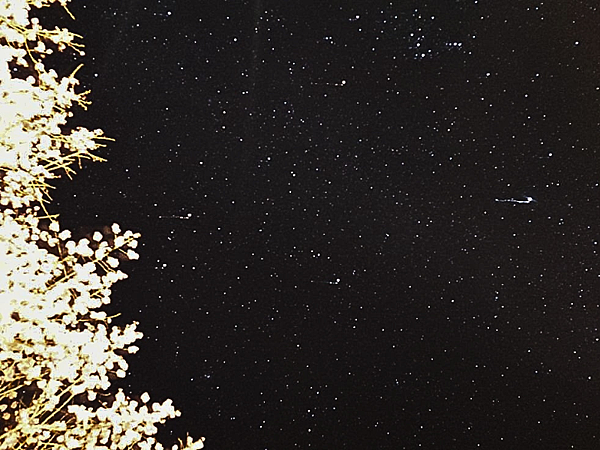 pic pimg tw pimama 1741855906 2802735666 g n png