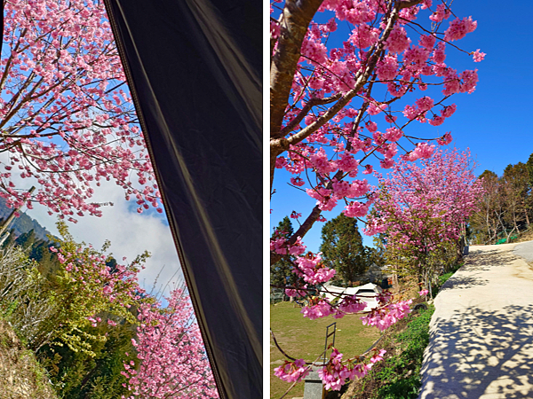 pic pimg tw pimama 1741855911 1786809638 g n png