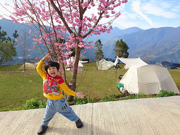 pic pimg tw pimama 1741855911 934203988 g n png