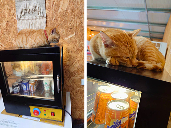 pic pimg tw pimama 1743400352 2653427807 g n png