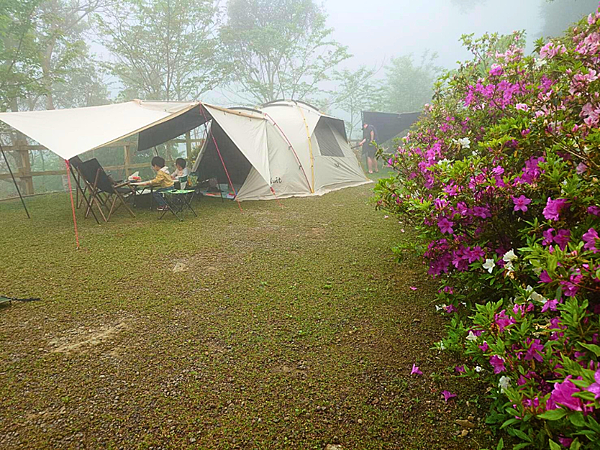 pic pimg tw pimama 1743400385 2076146187 g n png