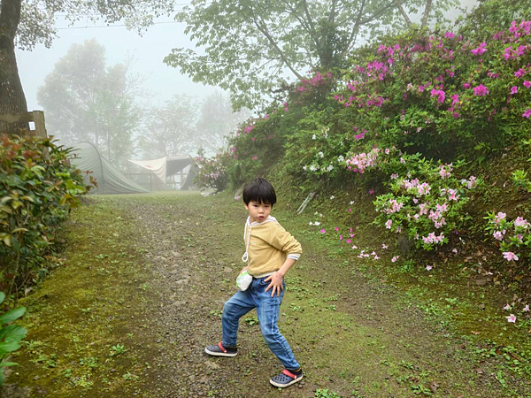 pic pimg tw pimama 1743400459 2095257890 g n png