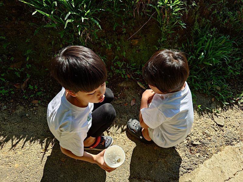 pic pimg tw pimama 1750132788 1833474215 g l jpg