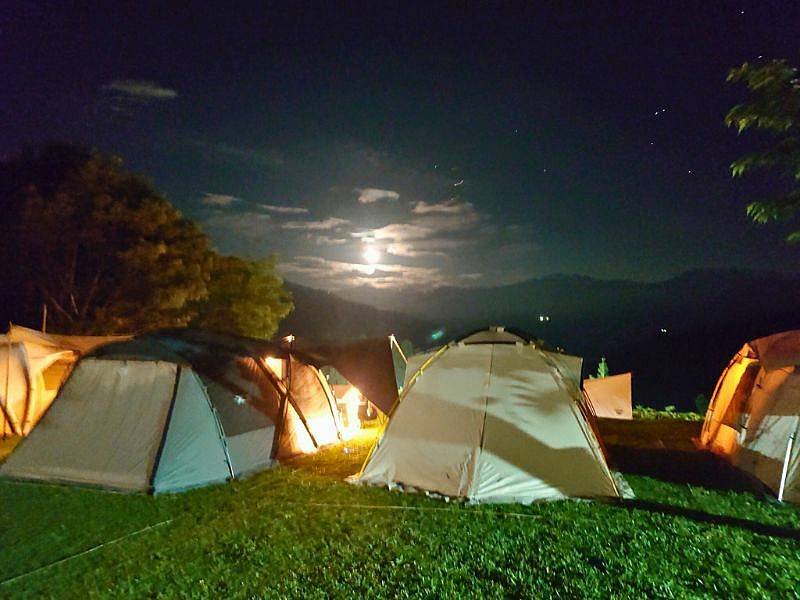 pic pimg tw pimama 1750132790 1268910758 g l jpg