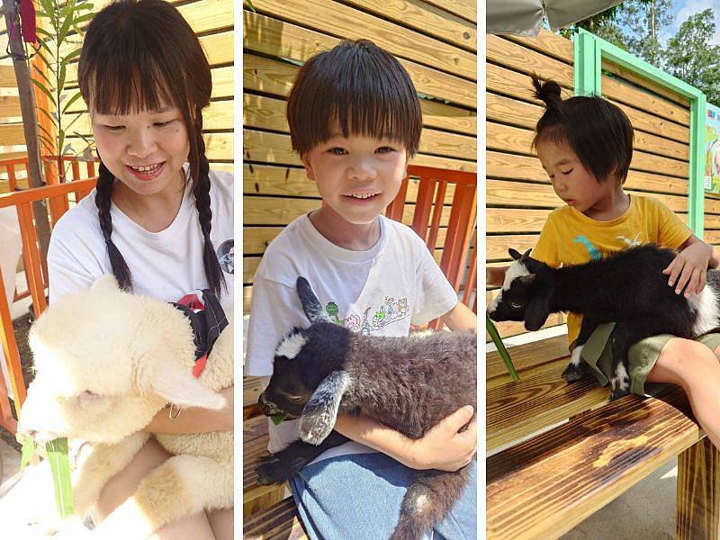 雙梅家第14露|日月山河露營區怕熱又想露營,先玩親子景點童萌農場交通順啦~ 4 露營親子景點童萌農場可以抱羊