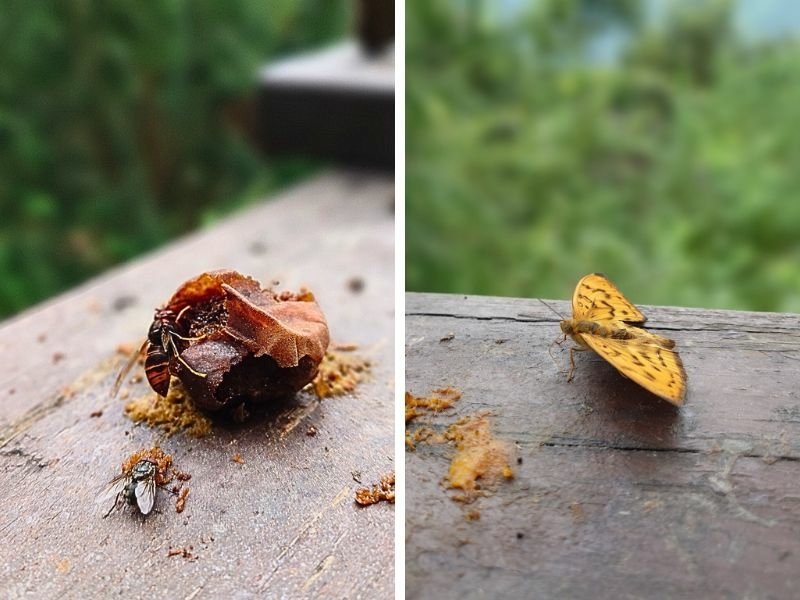 pic pimg tw pimama 1755676415 1395720829 g jpg