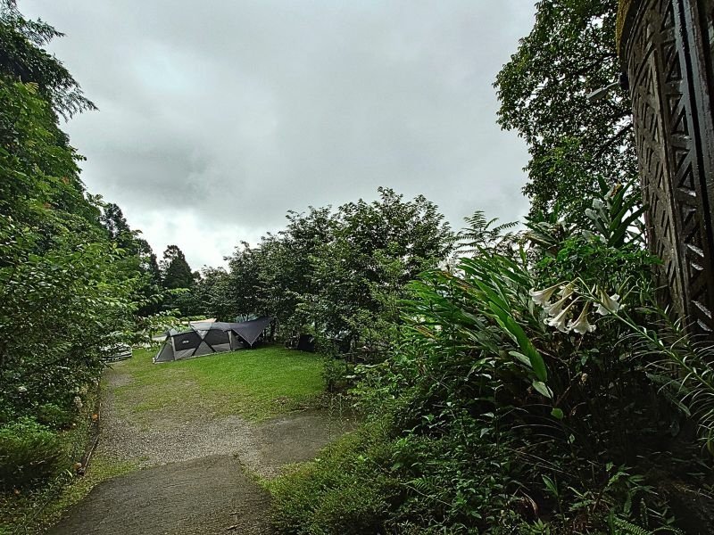 pic pimg tw pimama 1755676418 2075000571 g jpg