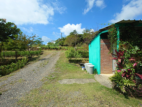 pic pimg tw pimama 1760325797 671117398 g n png