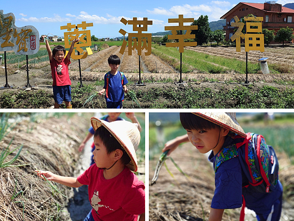 pic pimg tw pimama 1760326500 251045276 g n png