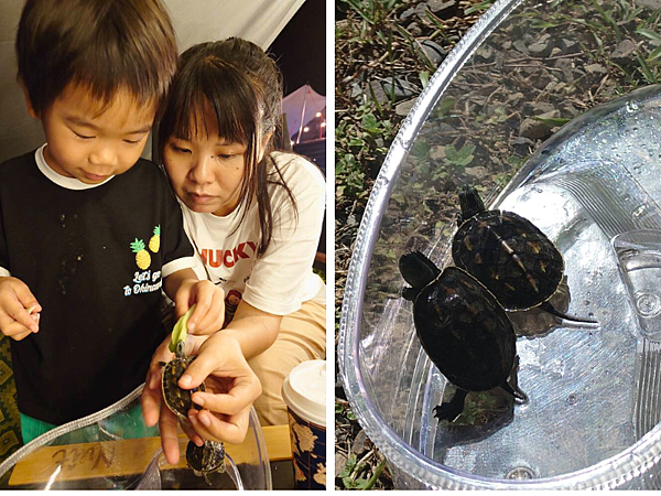 pic pimg tw pimama 1760328439 2106368863 g n png