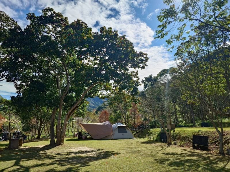 雙梅家第18露:二訪桃園復興可飛鹿露營區,1月H區落羽松超美|桃園露營區推薦 1 推薦桃園親子露營!雙梅家第18露二訪桃園復興「可飛鹿露營區」。1月乾燥無蟲,H區落羽松超美!F區包區心得